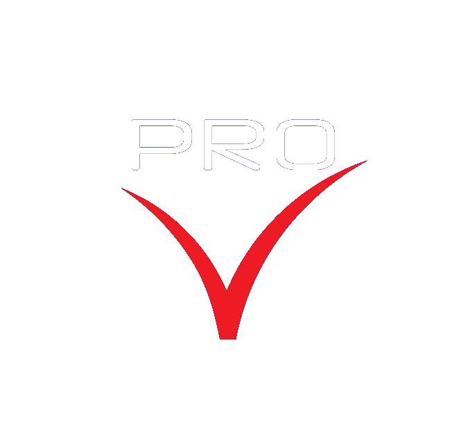 Pro Networking Logo